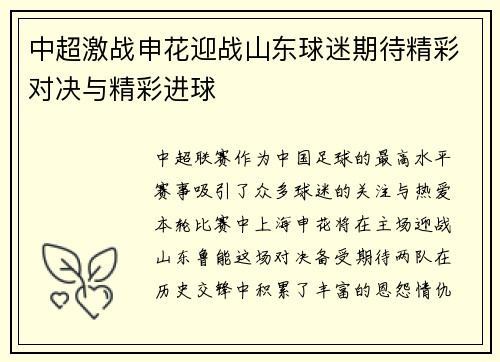 中超激战申花迎战山东球迷期待精彩对决与精彩进球